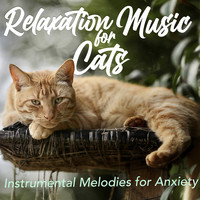 Relaxation Music for Cats - Instrumental Melodies for Anxiety