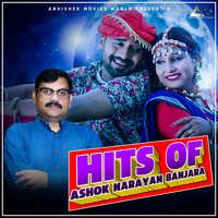 Hits Of Ashok Narayan Banjara