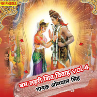 Bmlahri Shiv vivha vol4