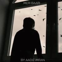 Meri Baari  (feat. Actor kabir khan)