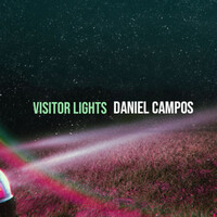 Visitor Lights