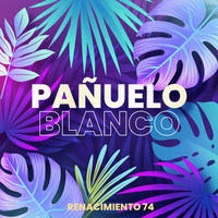 Pañuelo Blanco