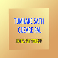 Tumhare Sath Guzare Pal