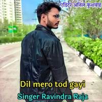 Dil mero tod gayi