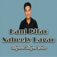 Pani Pilao Sabeely Lagao