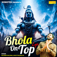 Bhola On Top Lofi