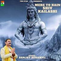 Mere To Hain Shiv Kailashi