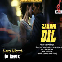 Zakhmi Dil Slowed & Reverb Dj Remix