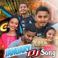 January Dj Song 2025