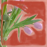 My Frail Body Song Download: Play & Listen My Frail Body all MP3 Song ...