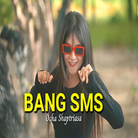 Bang Sms