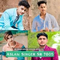 Aslam Singer Sr 7805