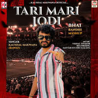 Tari Mari Jodi (Bhaibandhi Mashup)