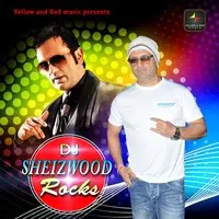 DJ Sheizwood Rocks