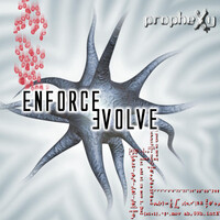 Enforce Evolve