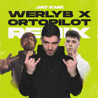 Werlyb X Ortopilot (Remix)