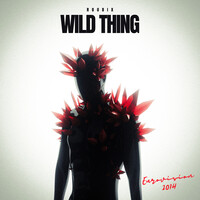 Wild Thing (Eurovision 2014)