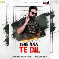 Tere Naa Te Dil