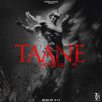 Taane