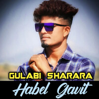 Gulabi Sharara