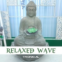 Relaxed Wave