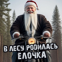 В лесу родилась ёлочка