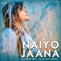 Naiyo Jaana Remix