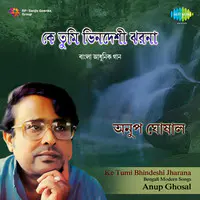 Ke Tumi Bhindeshi Jharana - Bengali Modern Song By Anup Ghosal
