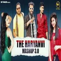 The Haryanvi Mashup 3