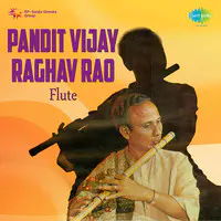 Pt Vijay Raghav Rao Flute