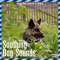 Soothing Dog Sounds: Ultimate Music Collection for Sleeping