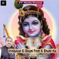 Vrindavan Ki Bhumi Prem KI Bhumi Hai