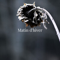 Matin d'hiver