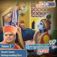 Shreemad Bhagwat Katha (Rangpur Amreli) Vol 3