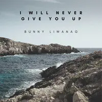 I Will Never Give You Up