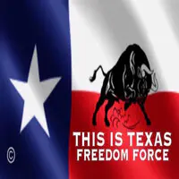 This Is Texas Freedom Force