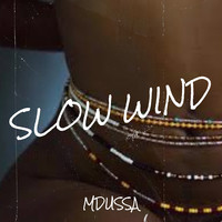 Slow Wind