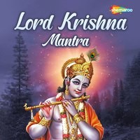 Lord Krishna Mantra