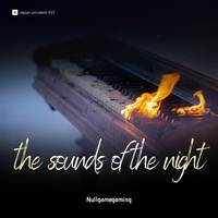 the sounds of the night