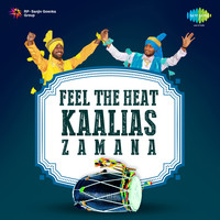 Feel The Heat Kaalias Zamana