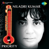 Priority Niladri Kumar