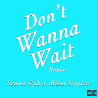 Don't Wanna Wait (Remix)