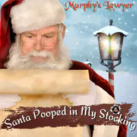 Santa Pooped in My Stocking