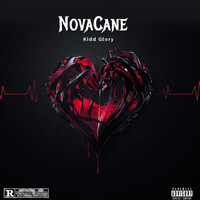 NovaCane