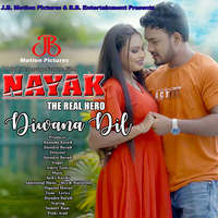 Diwana Dil (From "Nayak - The Real Hero")