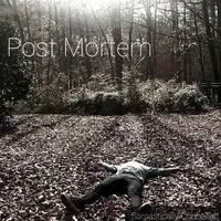 Post Mortem