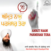 Amrit Naam Parmesar Tera 