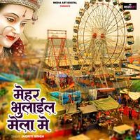 Mehar Bhulail Mela me