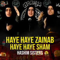 Haye Haye Zainab Haye Haye Sham