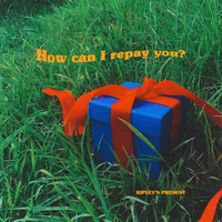 How can I repay you?